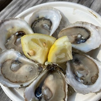 Williamsburg Smorgasburg - Saturday - Oysters - Food Stands Near Me - Brooklyn, New York Williamsburg Smorgasburg - Saturday - Oysters - Food Stands Near Me - Brooklyn, New York