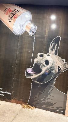 Tacos Tequila Whiskey by null