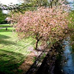 Kilmarnock Water - Kilmarnock Water, near Henderson Church, Kilmarnock