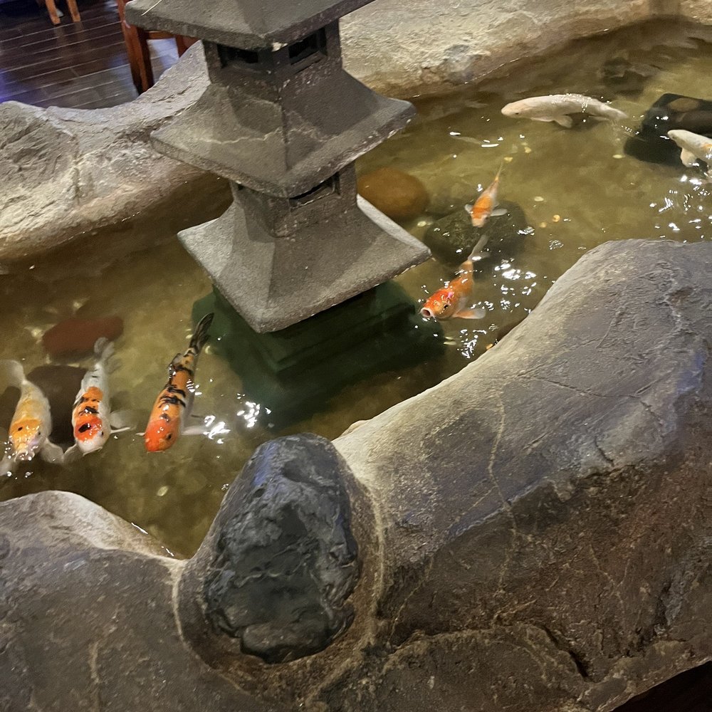 Ah-So Sushi & Steak - Fish - Japanese Near Me - Glendale, Arizona Ah-So Sushi & Steak - Fish - Japanese Near Me - Glendale, Arizona