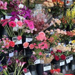 Zupan's Markets - Burnside - Always so many beautiful stems to choose from!