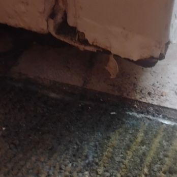 Smokey Point Motor Inn - Rat poop around the front door - Hotels Near Me - Arlington, Washington