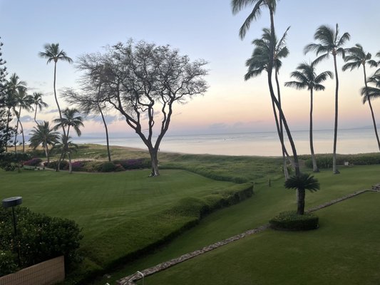 Menehune Shores Condominium by null