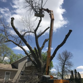Molina Tree Service - I loved how they removed the tree, completely professional - Tree Services Near Me - North Mankato, Minnesota Molina Tree Service - I loved how they removed the tree, completely professional - Tree Services Near Me - North Mankato, Minnesota