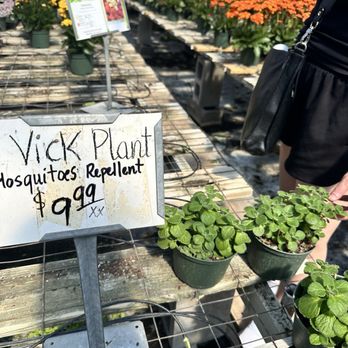 Joseph's Nursery - Nurseries & Gardening Near Me - Pearland, Texas