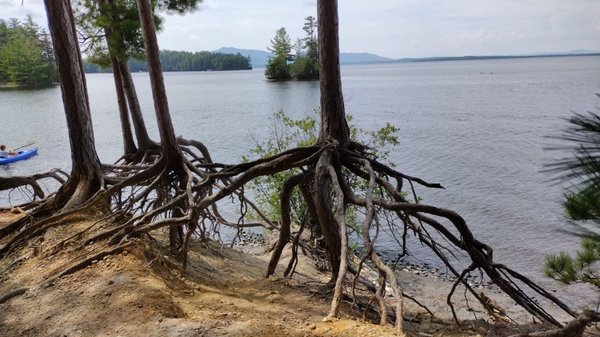 Lily Bay State Park by null