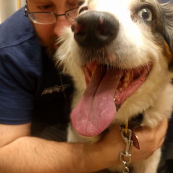 Banfield Pet Hospital - Veterinarians Near Me - Spring, Texas Banfield Pet Hospital - Veterinarians Near Me - Spring, Texas