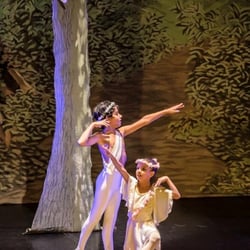 Gala de fim de ano - ballet infantil