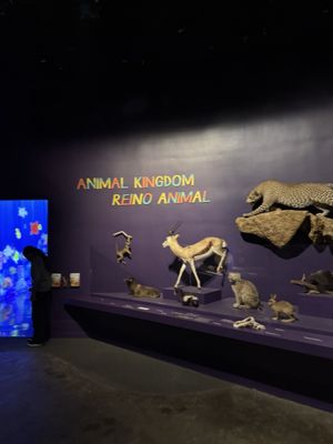 The Newark Museum of Art by null