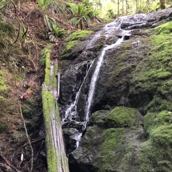 Coal Creek Falls Trail - 5.25.19 - Hiking Near Me - Newcastle, Washington Coal Creek Falls Trail - 5.25.19 - Hiking Near Me - Newcastle, Washington