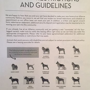 VEDA - Restricted dogs - Apartments Near Me - Los Angeles, California