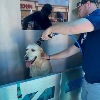 McBee's Coffee & Carwash - a man washing a dog - Cafes Near Me - Belton, Missouri McBee's Coffee & Carwash - a man washing a dog - Cafes Near Me - Belton, Missouri