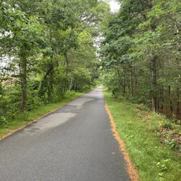 Path