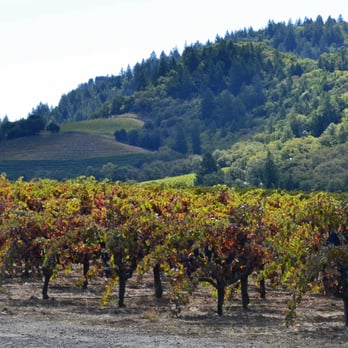 Mounts Family Winery - Wineries Near Me - Healdsburg, California Mounts Family Winery - Wineries Near Me - Healdsburg, California