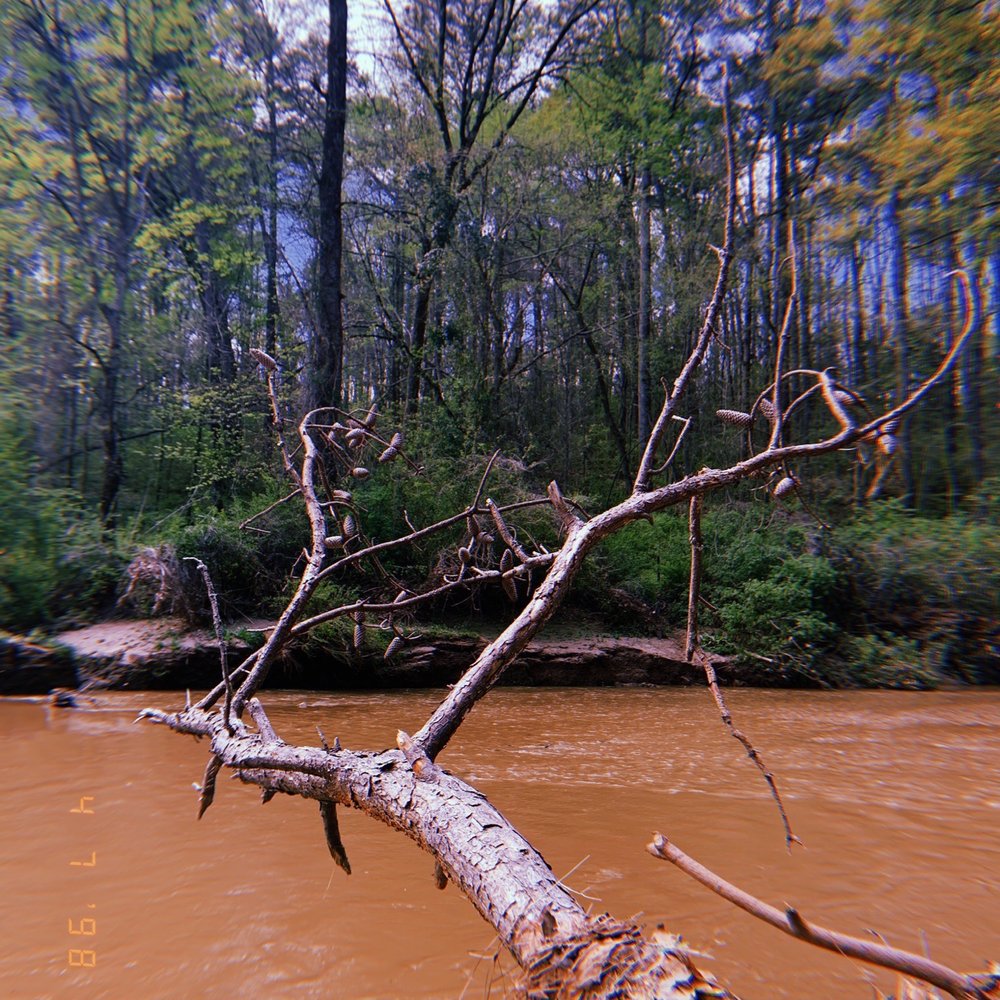 Morningside Nature Preserve - River by the dog beach - Parks Near Me - Atlanta, Georgia Morningside Nature Preserve - River by the dog beach - Parks Near Me - Atlanta, Georgia