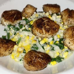 LB Social - Blackened deep sea scallops with risotto.