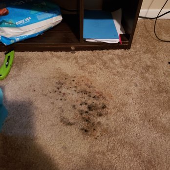 The Regency Apartments - Another area of black mold - Apartments Near Me - Parma, Ohio The Regency Apartments - Another area of black mold - Apartments Near Me - Parma, Ohio