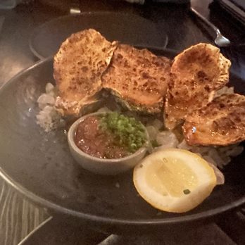 Dōgon - Oysters - Caribbean Near Me - Washington, DC, District of Columbia Dōgon - Oysters - Caribbean Near Me - Washington, DC, District of Columbia