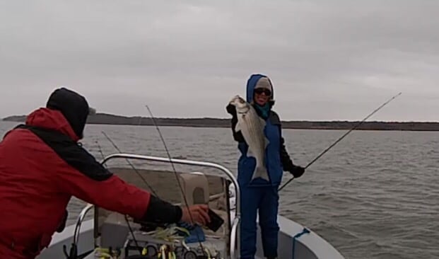 Striper Express Guide Service Logo