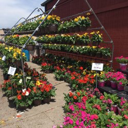 Reading Feed & Garden