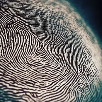 Splendid Signatures - Ensure secure identity verification with Splendid Signatures LLC's fast & accurate fingerprinting service in Mesa, Az. Our expert team ensur - Fingerprinting Near Me Splendid Signatures - Ensure secure identity verification with Splendid Signatures LLC's fast & accurate fingerprinting service in Mesa, Az. Our expert team ensur - Fingerprinting Near Me