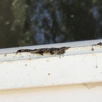 Window Masters - Grime and dirt. - Window Washing Near Me - Dana Point, California