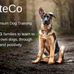 K9 Elite Co