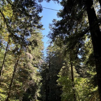 Samuel P Taylor State Park - Parks Near Me - Lagunitas, California