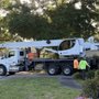 Photo of DeForest Tree and Property Maintenance