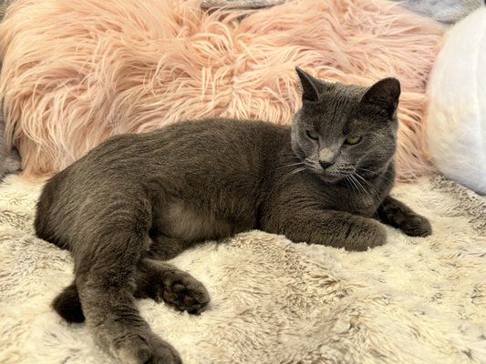 Catty Corner Cafe by null