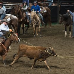 North American Livestock Expo