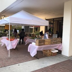 MUSC Cafeteria