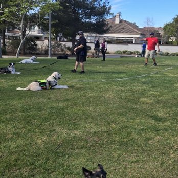 Your K9 Trainer - Group Class level 2 Saturday - Pet Training Near Me Your K9 Trainer - Group Class level 2 Saturday - Pet Training Near Me