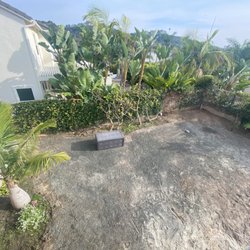 Sinaloa's Demolition - After Demo: Backyard Left Side
