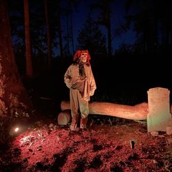My Haunted Forest - My Haunted Forest
