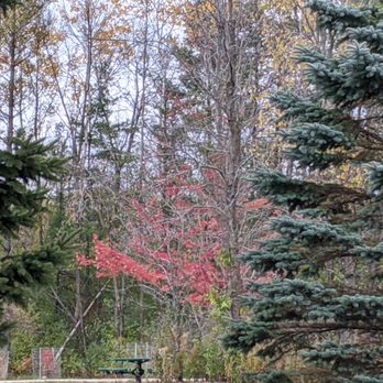 Katherine Kearney Carpenter Park - The colors are beautiful here! - Dog Parks Near Me - Mequon, Wisconsin Katherine Kearney Carpenter Park - The colors are beautiful here! - Dog Parks Near Me - Mequon, Wisconsin