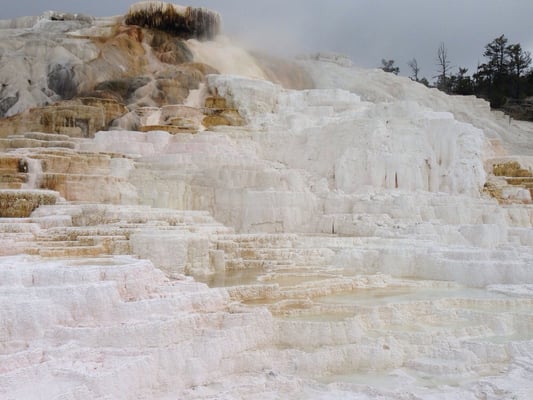 Mammoth Hot Springs by null