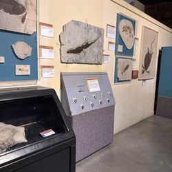 Museum Western Colorado Dinosaur Journey