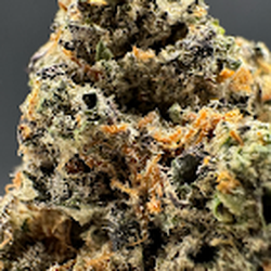 Uforiq Cannabis Delivery - THCa Flower | Purple Cowboy Exotic Flower | 3.5g | Indoor Grown THCa |