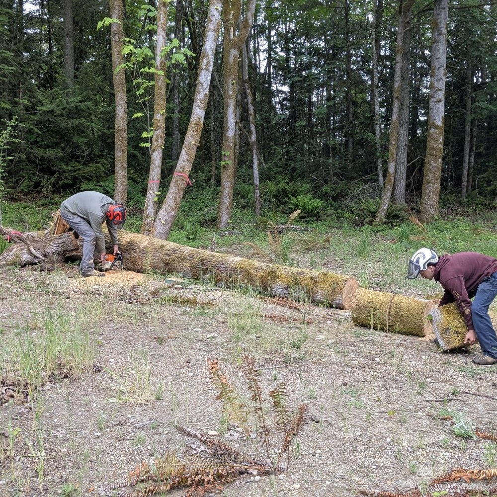 Williams Tree & Stump Removal - Wrapping up bucking and stacking. - Tree Services Near Me Williams Tree & Stump Removal - Wrapping up bucking and stacking. - Tree Services Near Me