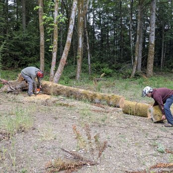 Williams Tree & Stump Removal - Wrapping up bucking and stacking. - Tree Services Near Me Williams Tree & Stump Removal - Wrapping up bucking and stacking. - Tree Services Near Me