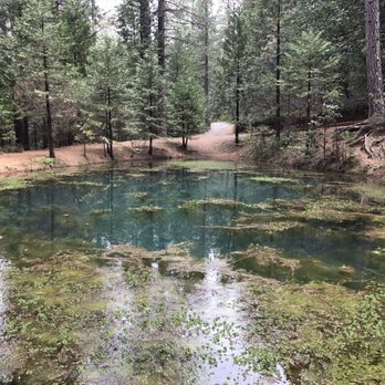 Harmony Ridge Resort - Resorts Near Me - Nevada City, California Harmony Ridge Resort - Resorts Near Me - Nevada City, California
