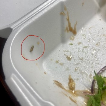 Off The Hook Fish Grill - Maggot in Grilled Shrimp Salad - Seafood Near Me - Whittier, California