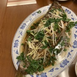 Beijing Bistro - Steamed rock cod