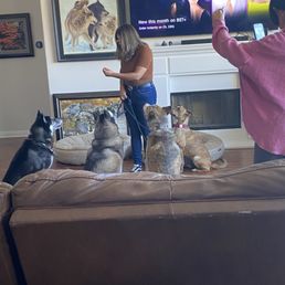 Sogand directing Jasalyne on how to reward the dogs Sogand directing Jasalyne on how to reward the dogs