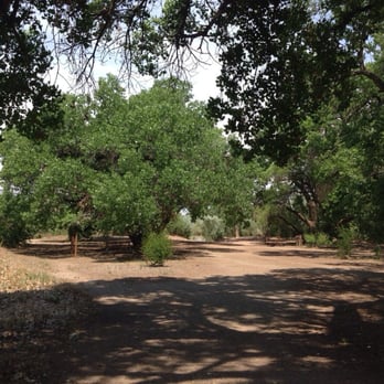 Paseo del Bosque - Alameda Access Point - Picnic area just North of Alameda on the East side of the Rio Grande - Hiking Near Me - Albuquerque, New Mexico Paseo del Bosque - Alameda Access Point - Picnic area just North of Alameda on the East side of the Rio Grande - Hiking Near Me - Albuquerque, New Mexico