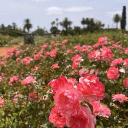 Parque 3 de Febrero