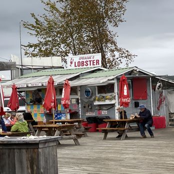 Sprague's Lobster - Sprague's Lobster is a great place to sit outside and eat. - Seafood Near Me - Wiscasset, Maine Sprague's Lobster - Sprague's Lobster is a great place to sit outside and eat. - Seafood Near Me - Wiscasset, Maine