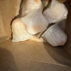 Benicia Farmers' Market - Har Gow