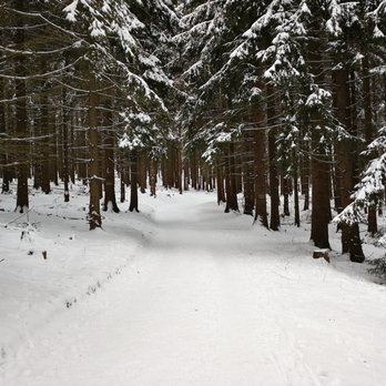 Großer Feldberg - Feldberg im Winter - Hiking Near Me